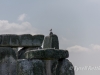 Bird Atop the Henge